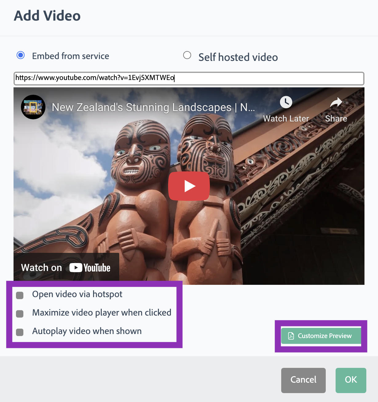 Adjust settings and preview of a video